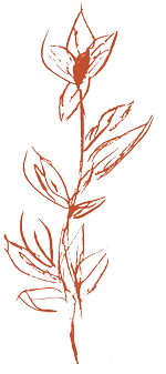 Flower Terracotta Flower Terracotta